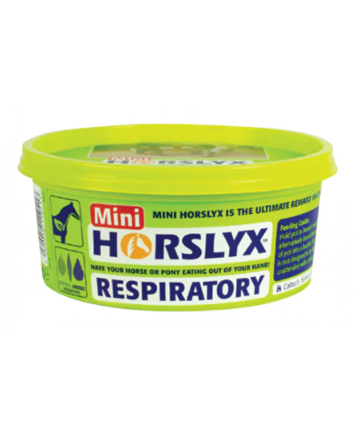 Mini Respiratory Horslyx 650g 